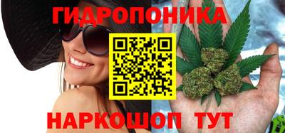ALPHA PVP Канаш