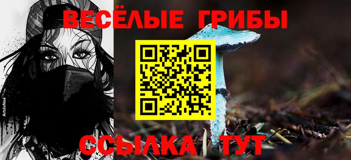 Псилоцибиновые грибы Cubensis  Вход с VPN  Лыткарино 